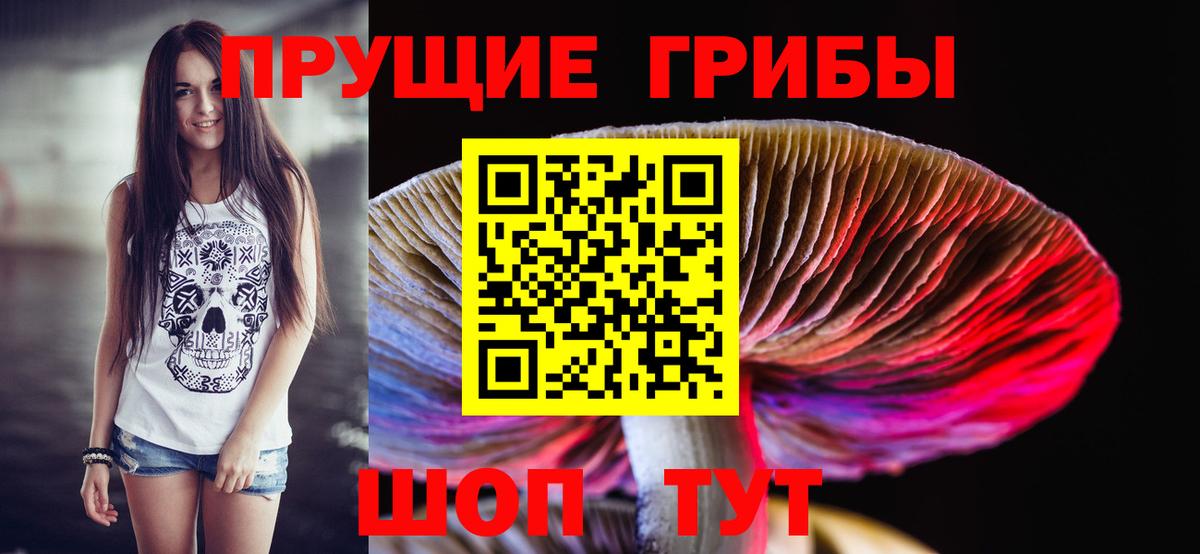Галлюциногенные грибы мицелий Михайловка